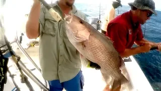 Part #3 - Grand Isle "MONSTER MANGROVE & RED SNAPPER" offshore fishing Louisiana