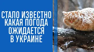 Конец декабря удивит: синоптики спрогнозировали погоду на ближайшие недели