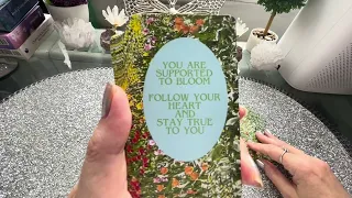 🌺YOU ARE SUPPORTED TO BLOOM!🌺New Oracle Cards Close Up Review🌺New Free Spirit Cards Are Here! -#13