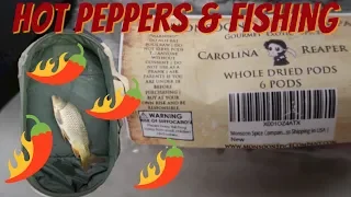 HOMIE EATS THE WORLDS HOTTEST PEPPERS AND FISHING WITH SPICY ADDITIVES