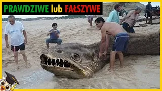 15 Zdjęć które są PRAWDZIWE lub FAŁSZYWE!? (Ty decydujesz)