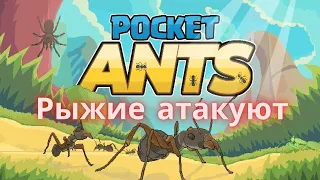 🐜 Pocket Ants |  СИМУЛЯТОР МУРАВЕЙНИКА - как играть начинающему?