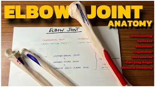 Elbow Joint Anatomy | Upper Limb Anatomy