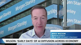Morgan Stanley's Wilson: Be a Stock Picker Now