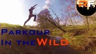 Parkour in the wild