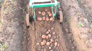 Уборка картошки минитрактором мтз 132н и грохотной картофелекопалкой 2023 г