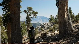 Momyer Trail to San Bernardino Peak and East Peak | 10-4-2019 4k