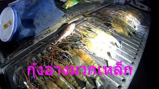 V-Spearfishing ดำน้ำยิงปลา Ep 35 ดำกุ้งอ่างมวกเหล็กกับน้องแบงค์ น้องฟาง จารเขียดและเพื่อนเน่ย์