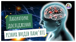 Лабораторне дослідження різних видів пам'яті