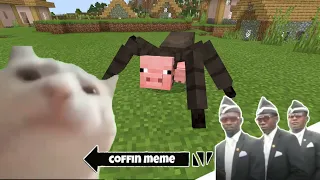 Coffin Meme but Cat is Vibing Part 4 - Minecraft