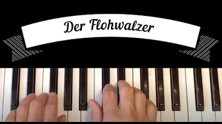 TAM TAM | Der Flohwalzer