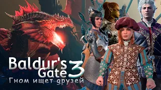 Гном ищет друзей в Baldur's Gate 3 [1]