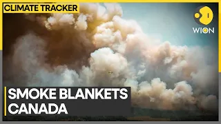 Canadian wildfire smoke covers Nuuk | WION Climate Tracker