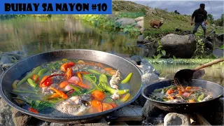 CATCH & COOK NATIVE TILAPIA FROM RIVER | PICNIC ON THE RIVERSIDE | BEAUTIFUL LIFE #buhayprobinsya