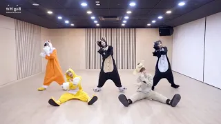 TXT (투모로우바이투게더) ‘Cat & Dog’ Mirrored Dance Practice (Animal ver.)