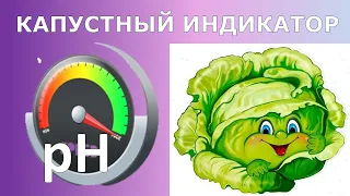 Капустный рН индикатор