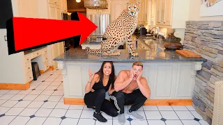 LAST TO LEAVE THE HOUSE WITH A CHEETAH WINS $10,000!