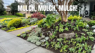 Mulch, Mulch, Mulch!  The Importance of Mulch and Adding Some New Mulch to MY Garden!