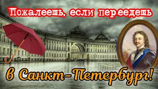 Плюсы и минусы жизни в Питере | Поговорим о том, кому не стоит там жить