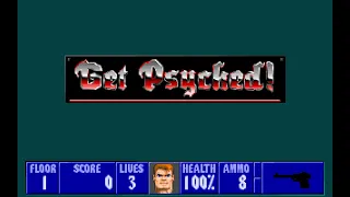 Wolfenstein 3D Crash