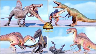 Spinoraptor VS All Dinosaurs Killing Animations 🦖 Jurassic World Evolution 2 - Secret Species