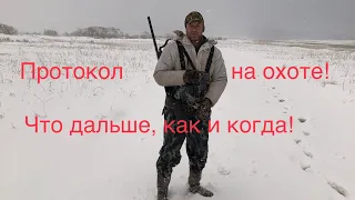 Протокол на охоте! Что дальше? Кто, как и когда!