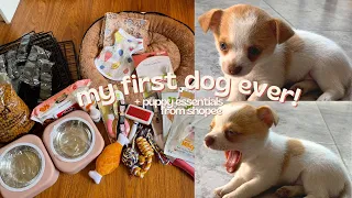 🐶 my first dog ever (chihuahua) + puppy essentials from shopee! 🐾 | philippines