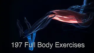 OYO Personal Gym - DoubleFlex Animation