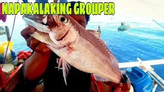 Nakatagpo Ng malalaking grouper sa bahura|grabi Ang dawi catch &sell