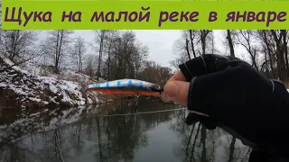 Щука на малой реке в январе 2020. Ловлю на джиг и воблеры. Зимний спиннинг  в Московской области