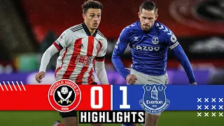 Sheffield United 0-1 Everton | Premier League highlights | Sigurdsson goal downs Sheff Utd