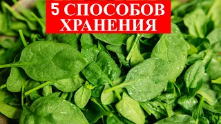 ШПИНАТ будет ВСЕГДА свежим!  5 СПОСОБОВ ХРАНЕНИЯ ШПИНАТА в холодильнике/Как хранить ЗЕЛЕНЬ