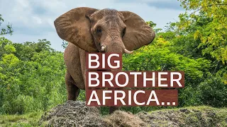 Big Brother Africa season 5