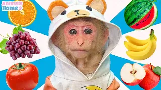 Farmer BiBi takes baby monkey Obi to harvest fruit at dad's farm |ANIMAL HOUSE BIBI .
