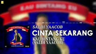 Salih Yaacob - Cinta Sekarang (Official Stream Video)