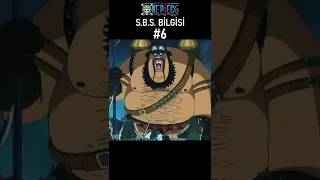 Shiki'den önce Impel Down'dan kaçan mahkum | SBS BİLGİSİ No.6 #shorts