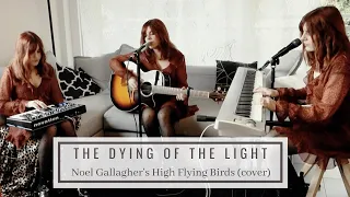 The Dying of the Light - Noel Gallagher's High Flying Birds (cover)