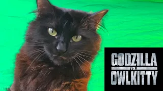 Godzilla vs. OwlKitty (Behind the Scenes)