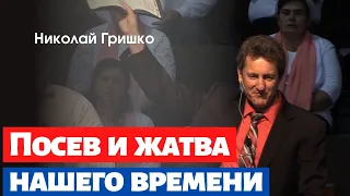 Посев и Жатва нашего времени. п. Николай Гришко.