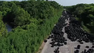 illegal tire dumping