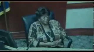 George Stinney Hearing - January 21, 2014 - Part 2