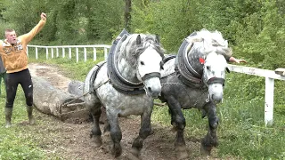 - ZIMSKI TRENING OPASNIH ZEKANA ADNANA MEDIĆA U SANICI -