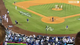 2022 NLDS: Goose flies loose at Dodger Stadium, scares Cody Bellinger