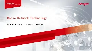 04 RGOS Platform Operation Guide