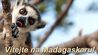 Vítejte na Madagaskaru!