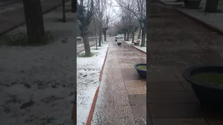 retour de la neige a Ifrane la petite suisse du Maroc