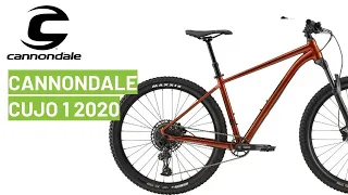 Cannondale Cujo 1 2020: bike review