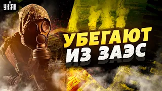 Кремль готовит новый "жест доброй воли" в Украине, но с условиями