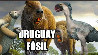 😍🐹 The most epic fossils of Uruguay !!! Josephoartigasia, the largest rodent in the world! 😍