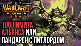 100 ЛИМИТА АЛЬЯНСА ИЛИ ПАНДА И ПИТЛОРД: Warcraft 3 Reforged